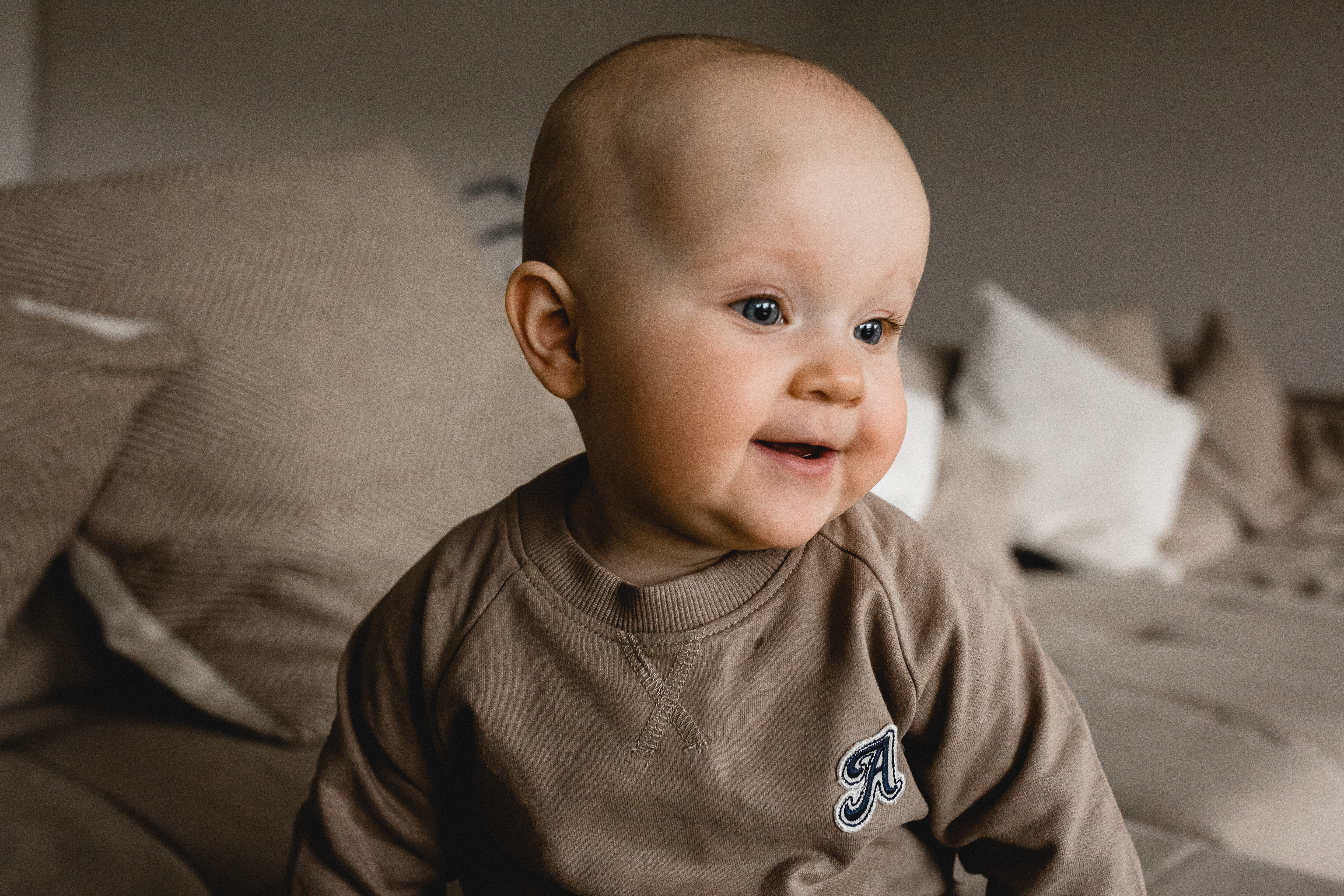 Sweatshirt - Silver Mink