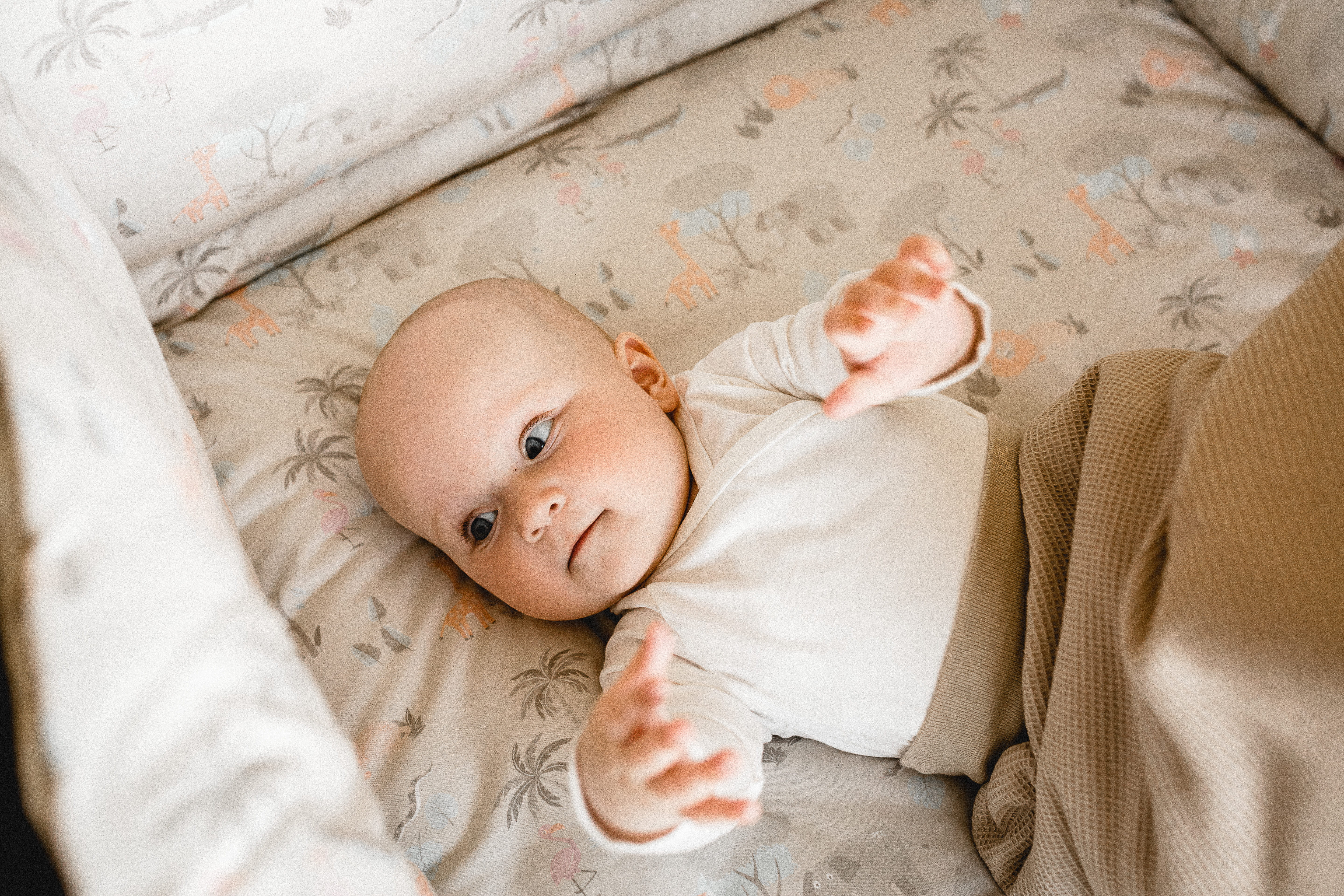 Schlummer-Nestchen - Jungle