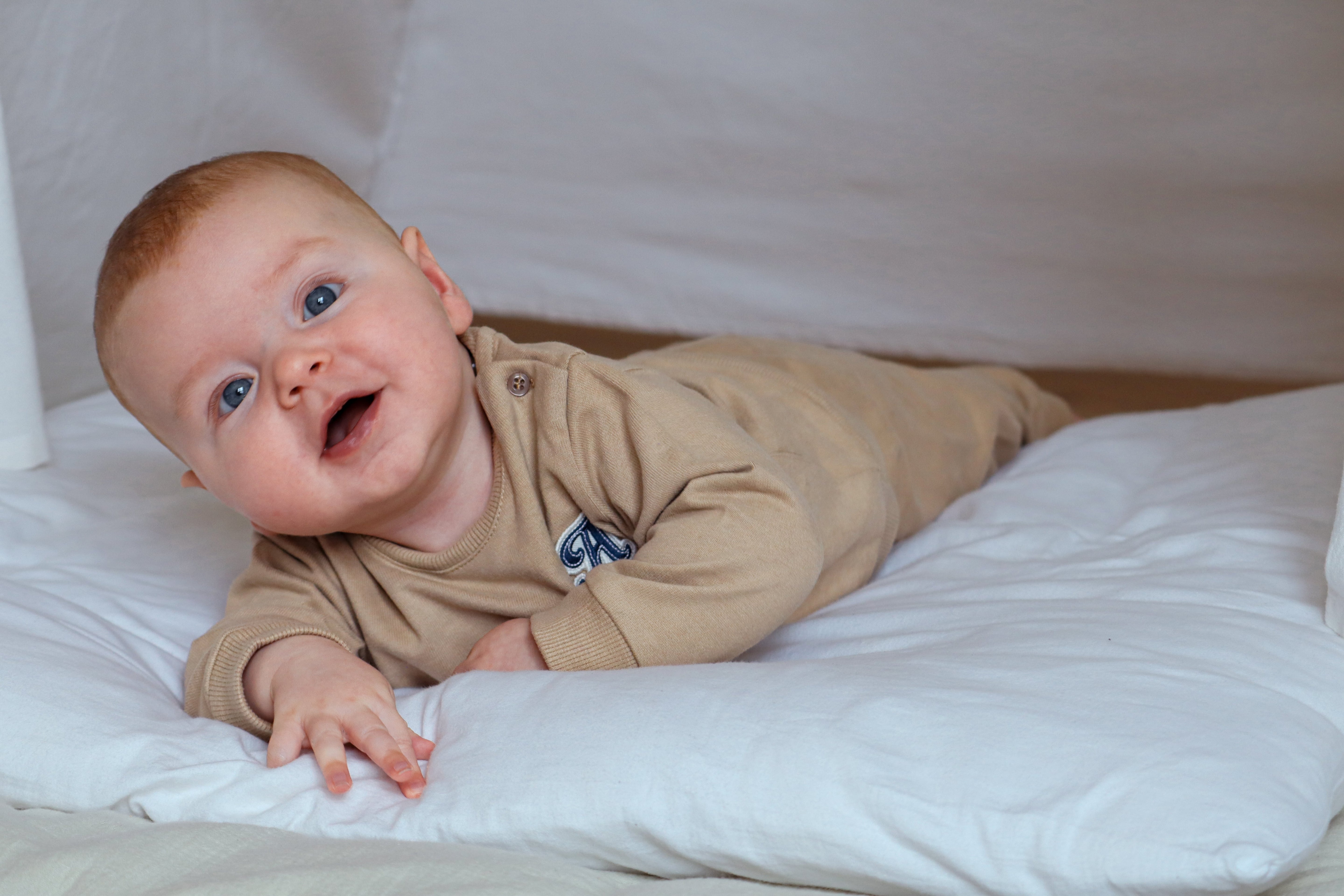Sweatshirt - Silver Mink mit Knopf